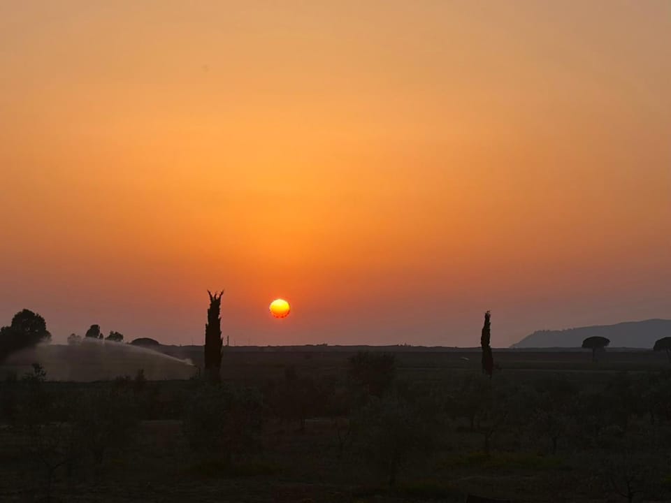 Casale Oliveta & Ristorante Farm Stay in Tuscany