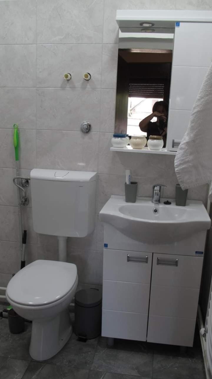 Lelita Apartment in Vojvodina