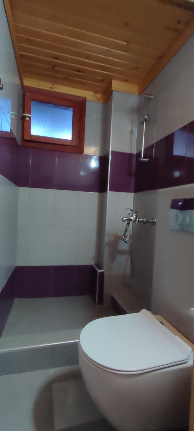 Toilet, Bathroom