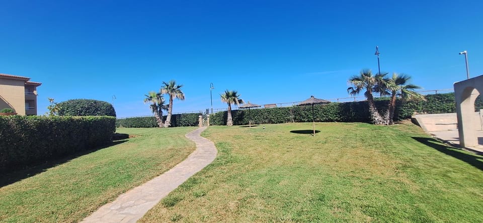 Day, Garden, Garden view