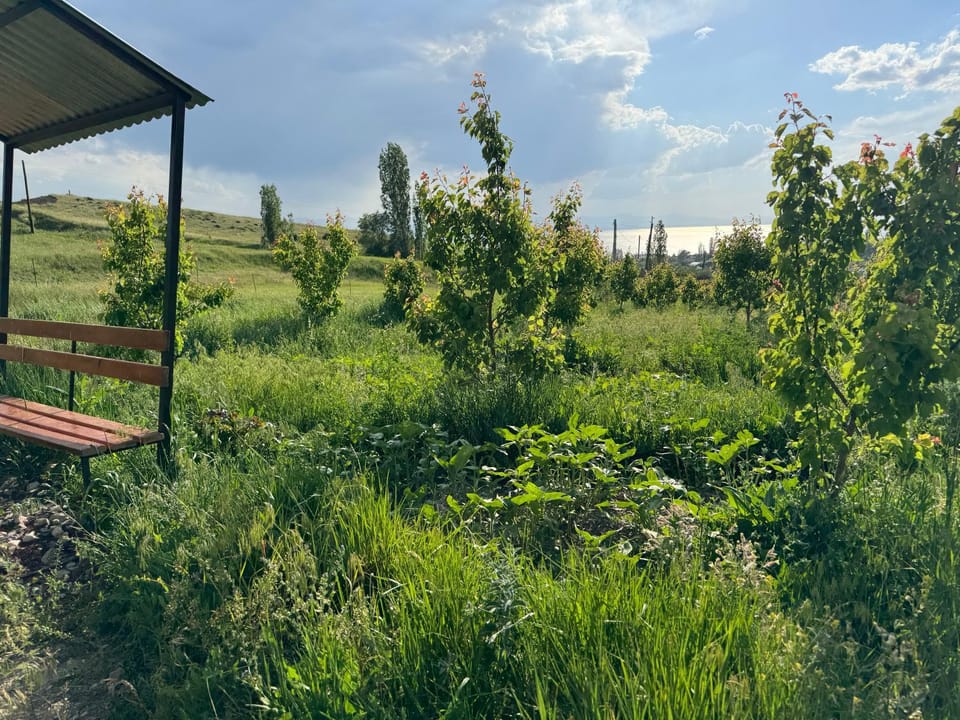 Eco Aura Areguni Hotel in Armenia