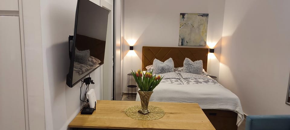 Cozy Studio Apartment LEPRIN in Labin Old Town Apartment in Istria County