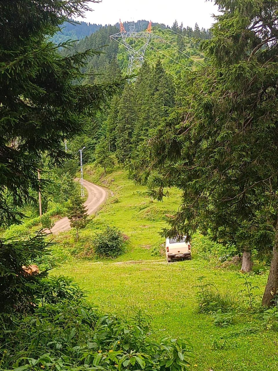 Natural landscape, Garden