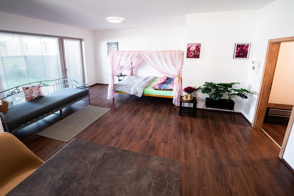Bed, Balcony/Terrace, Kitchen or kitchenette, Living room, Photo of the whole room, Seating area, Dining area, Bedroom, Pets, Area and facilities, children, young children, older children, group of guests, cot, bunk bed, Family, internet, pet friendly, towels, kitchen, acessibility