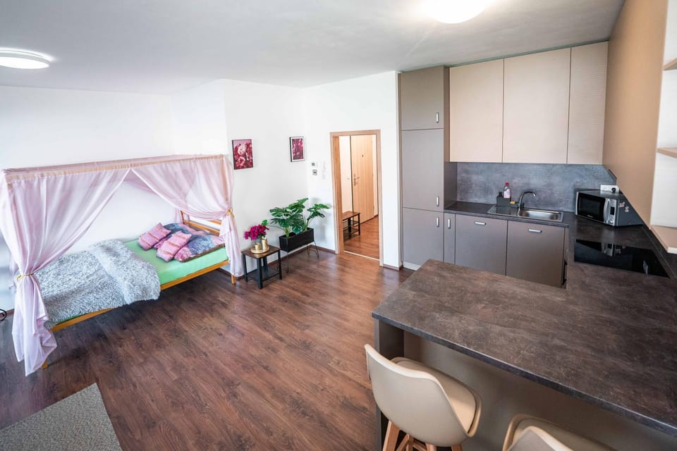 Bed, Balcony/Terrace, Kitchen or kitchenette, Photo of the whole room, Decorative detail, Seating area, Dining area, Bedroom, heating, internet, kitchen, acessibility