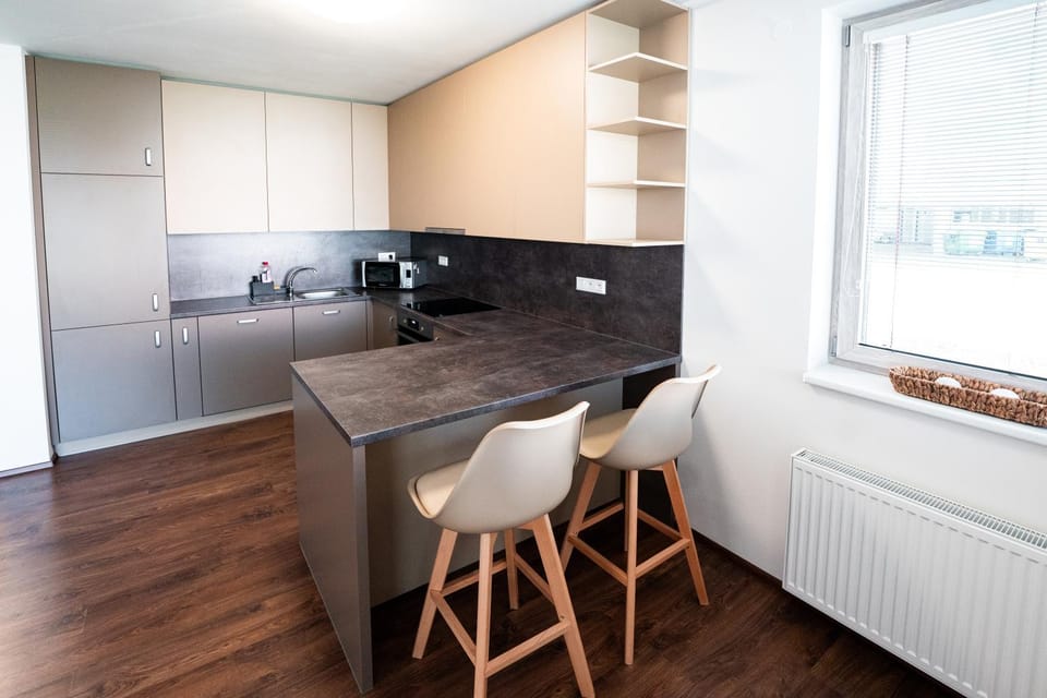 Kitchen or kitchenette, Photo of the whole room, Seating area, Dining area, Area and facilities, dishwasher, furniture, heating, internet, microwave, oven, pet friendly, stove, towels, wardrobe, kitchen, acessibility
