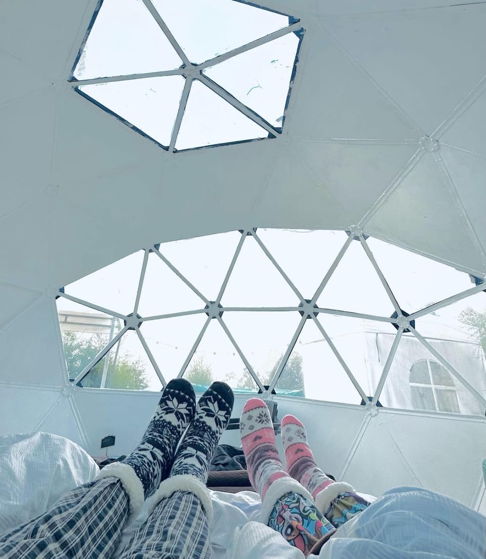 Bed, Photo of the whole room, Garden view, Sunrise