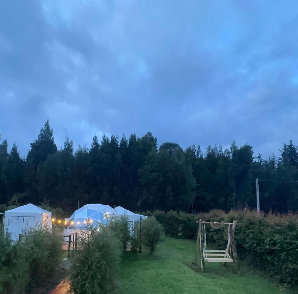 Natural landscape, Garden, Hiking, Hiking, Garden view, Garden view, Sunset