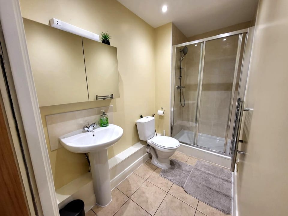 Shower, Toilet, Bathroom, towels