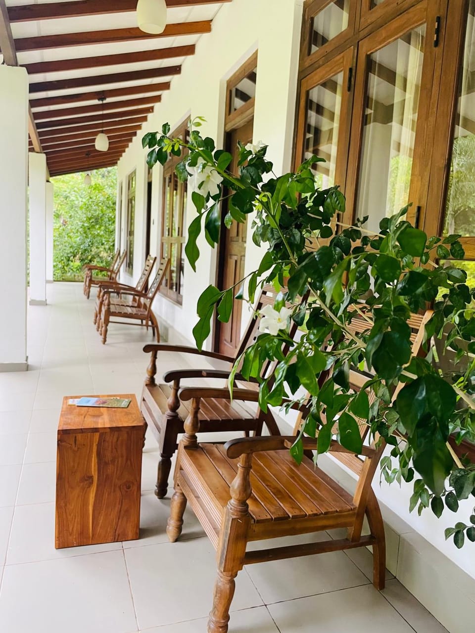 Swan Lake Habarana Bed and Breakfast in Sri Lanka