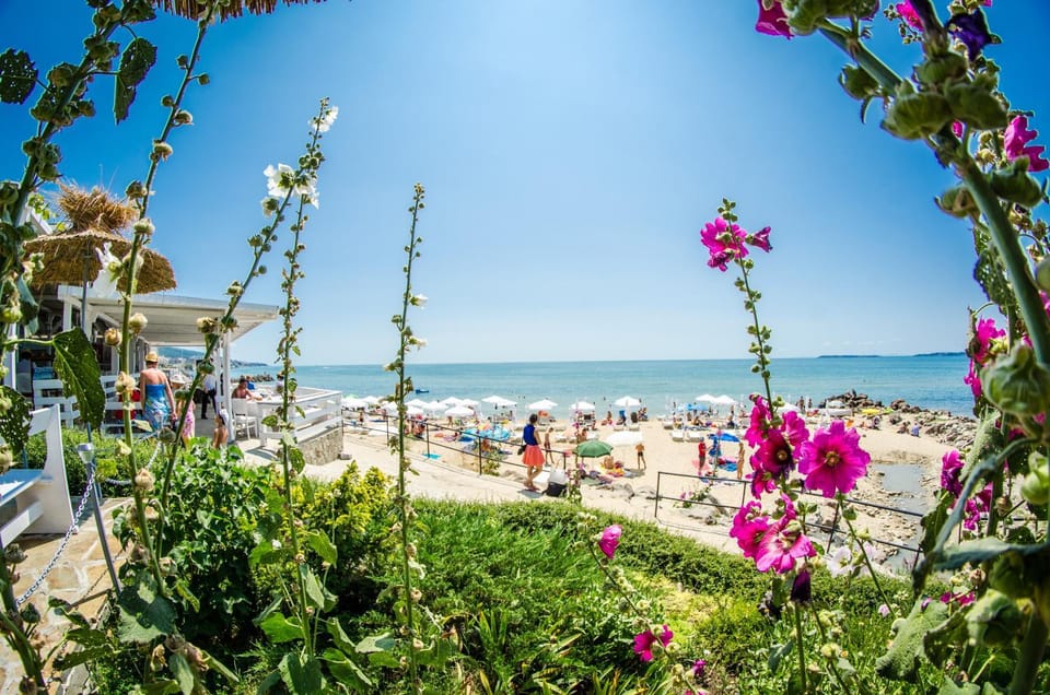 Day, Beach