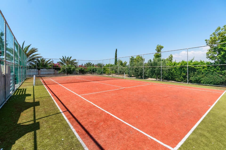 Tennis court