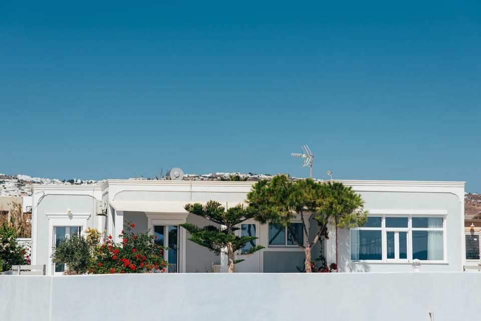 Property building, Day, Garden view