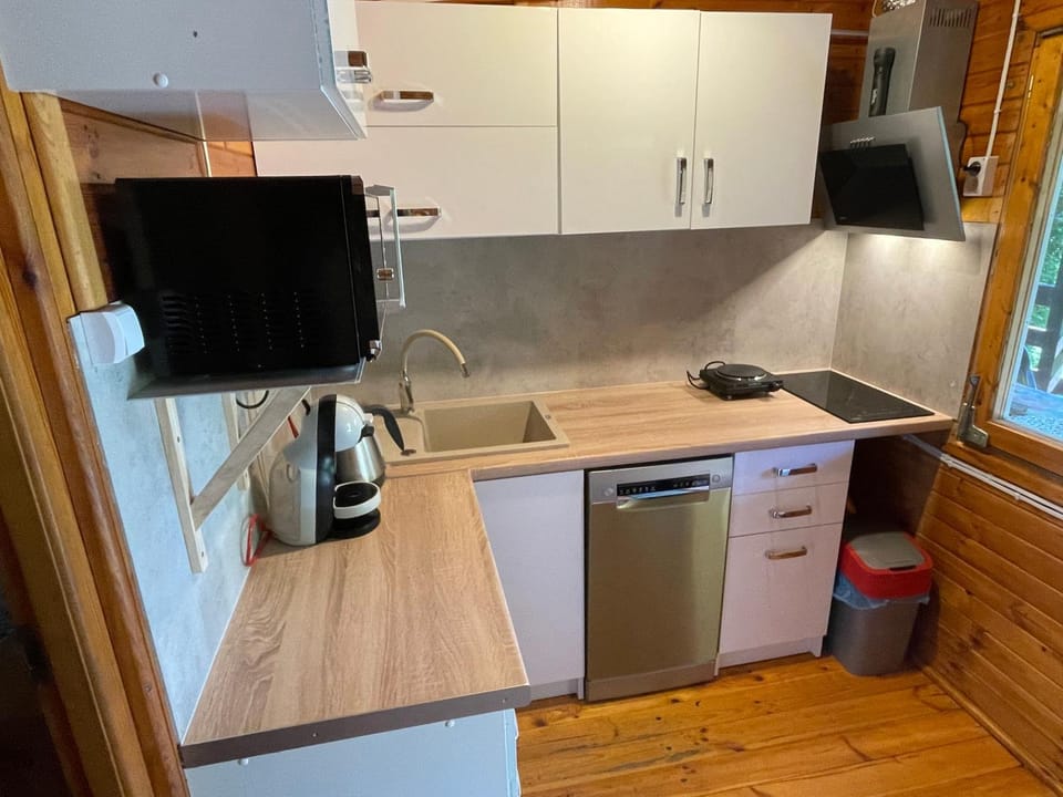 Kitchen or kitchenette, dishwasher