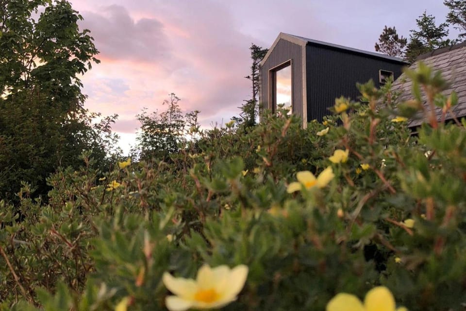 Tiny Home in Isle of Skye - Pet Friendly House in Scotland