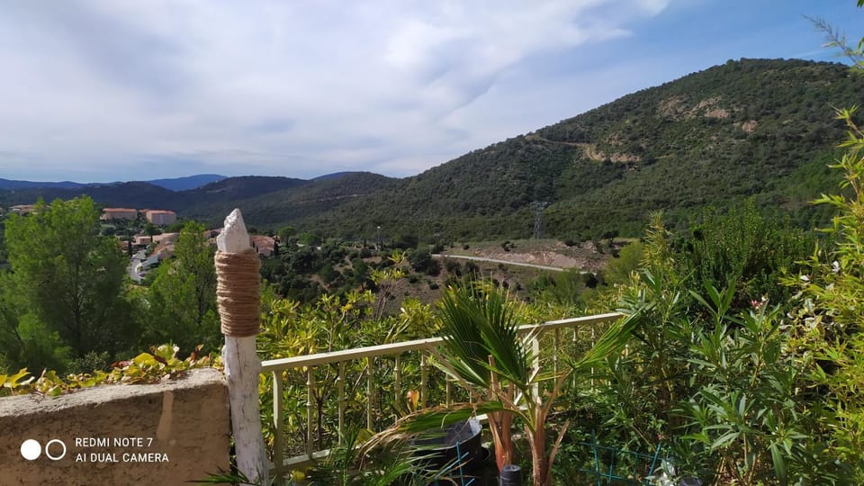 Day, Mountain view