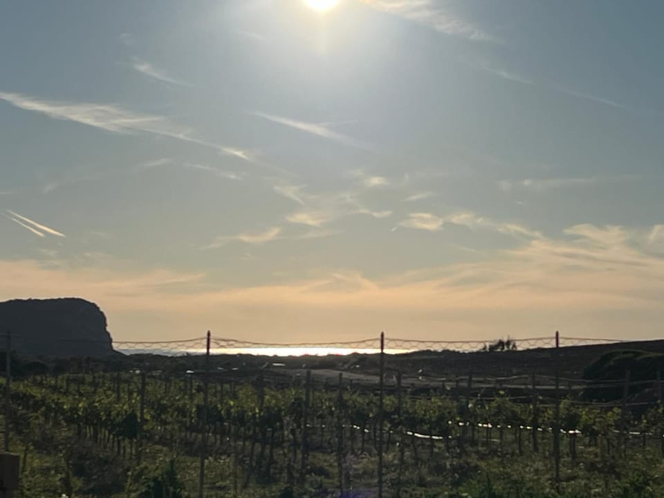 Natural landscape, Summer, Sea view, Street view, Sunset