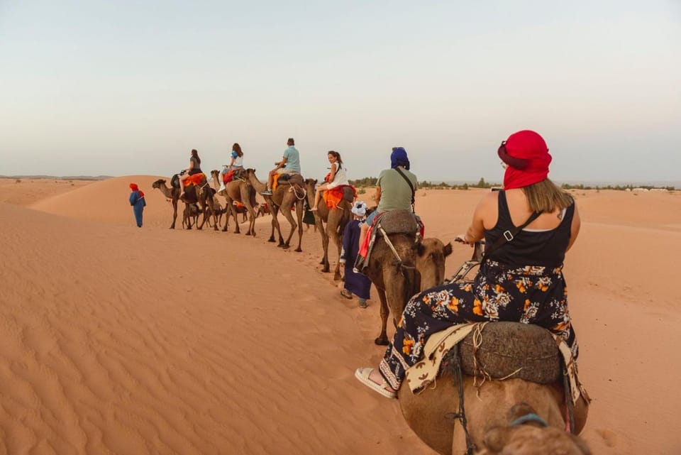 Natural landscape, Horse-riding, Animals, group of guests