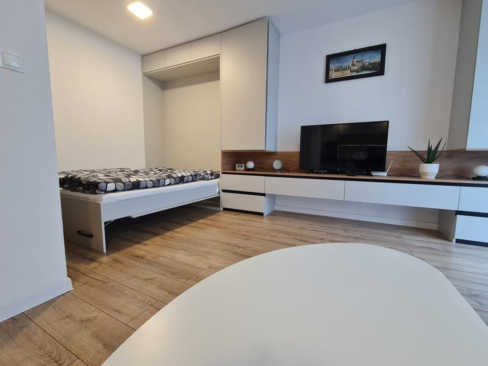 Communal lounge/ TV room, TV and multimedia