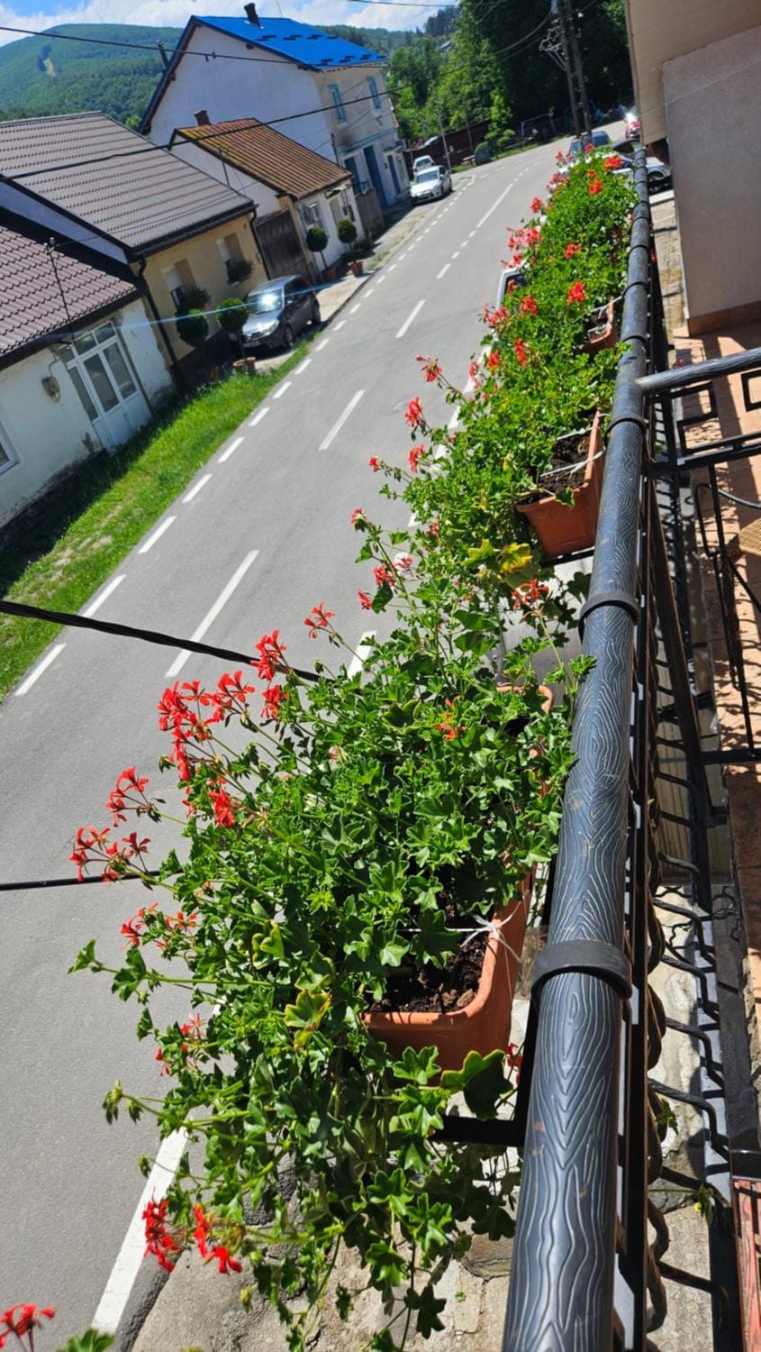 La Buna Văliug Vacation rental in Timiș County
