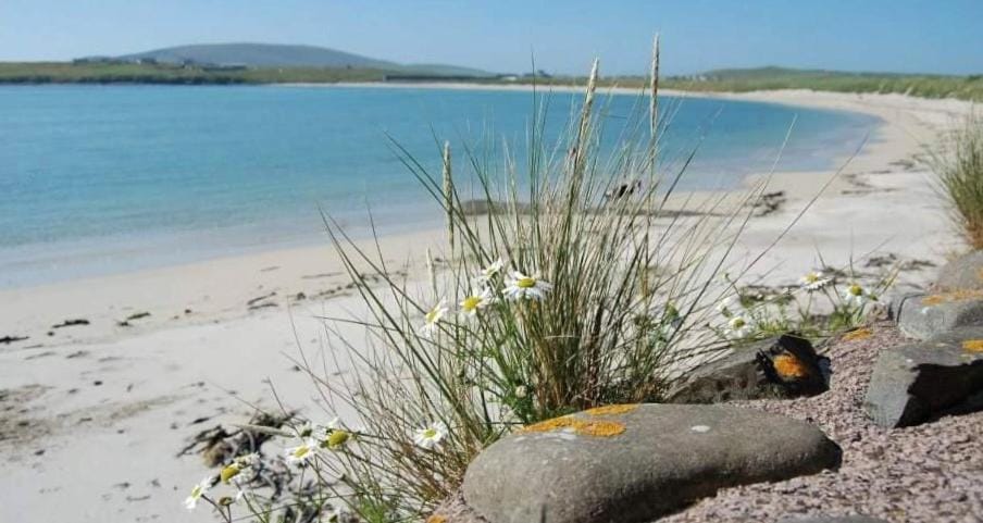 Natural landscape, Beach