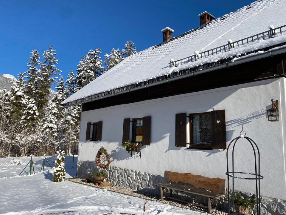 Property building, Winter