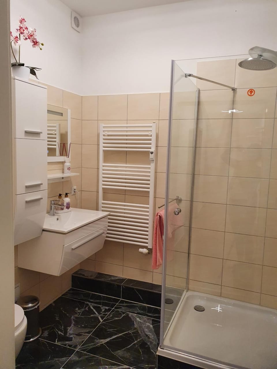 Da Rebelo (Ferienwohnung) Apartment in Erzgebirgskreis