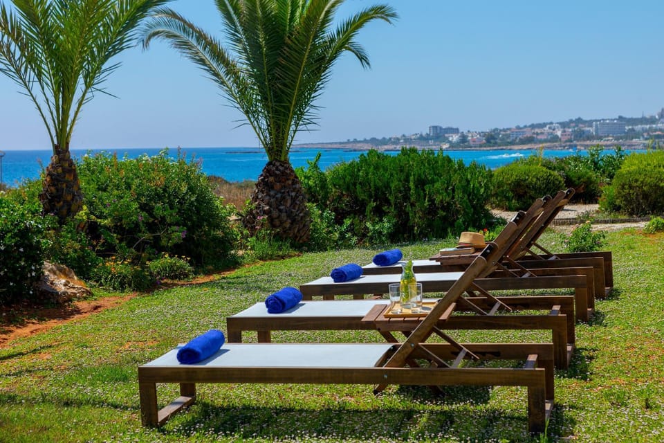 Patio, Garden, Garden view