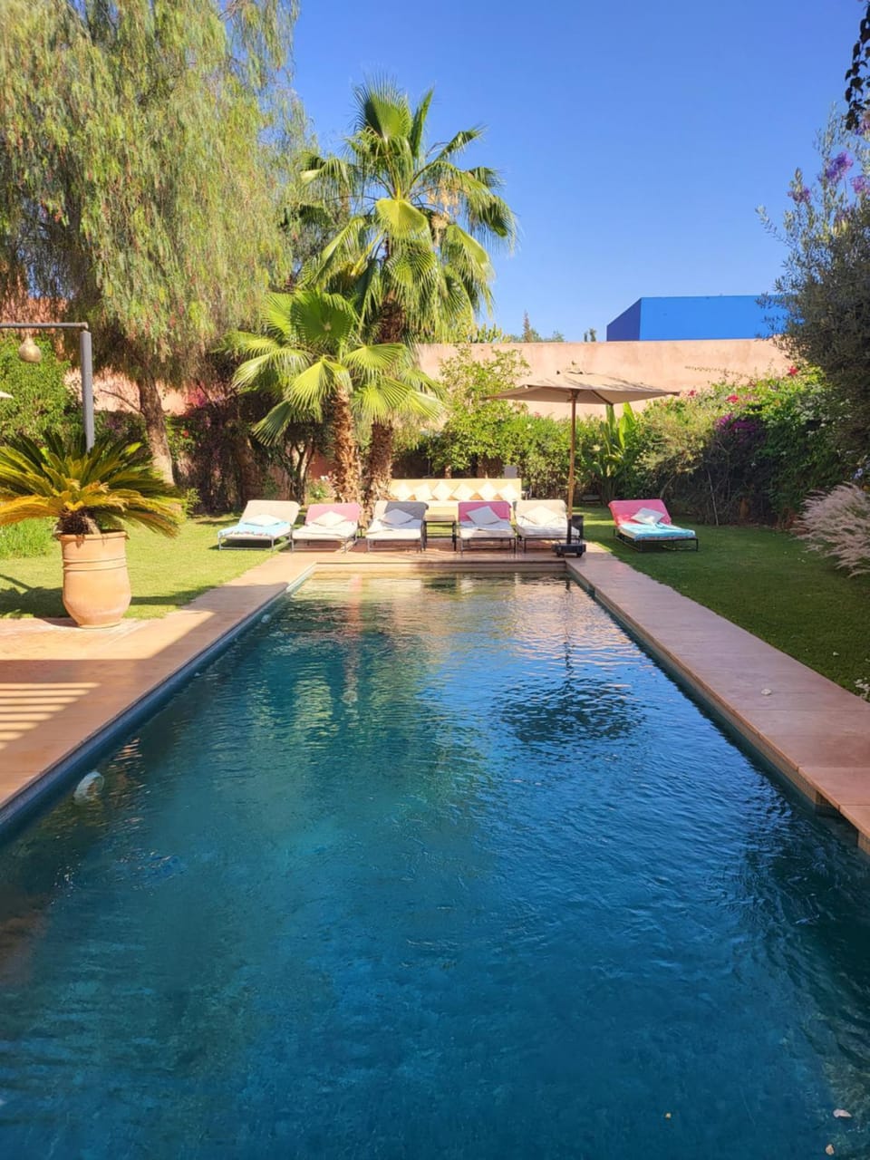 Day, Garden, Garden view, Pool view, Swimming pool