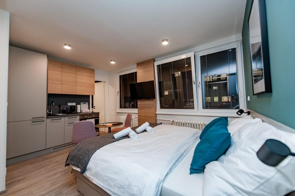 TV and multimedia, Kitchen or kitchenette, Photo of the whole room, Seating area, Bedroom, oven