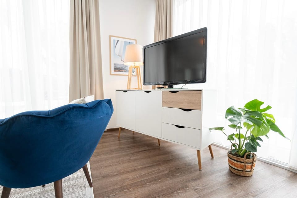 TV and multimedia