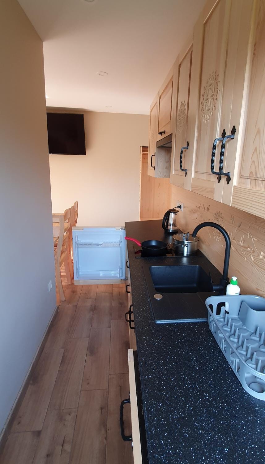 Kitchen or kitchenette, minibar, pet friendly, stove