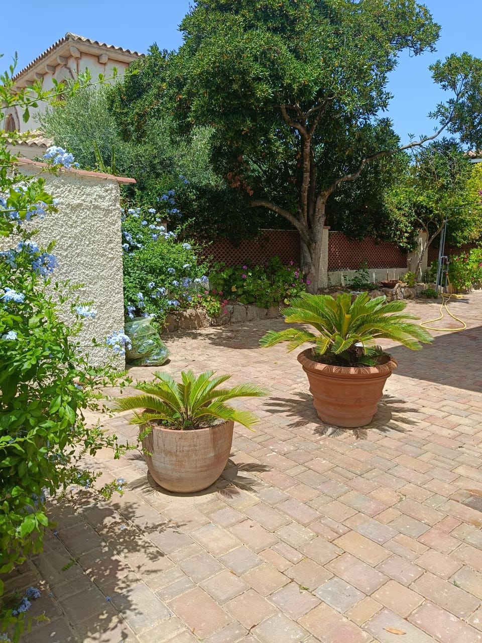 Trilo Lu Rattali House in San Teodoro