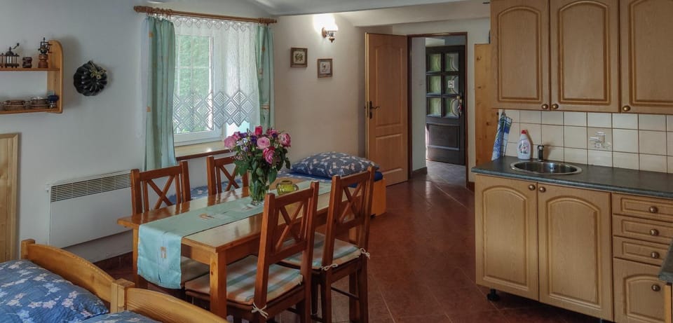 Kitchen or kitchenette, Photo of the whole room, Dining area