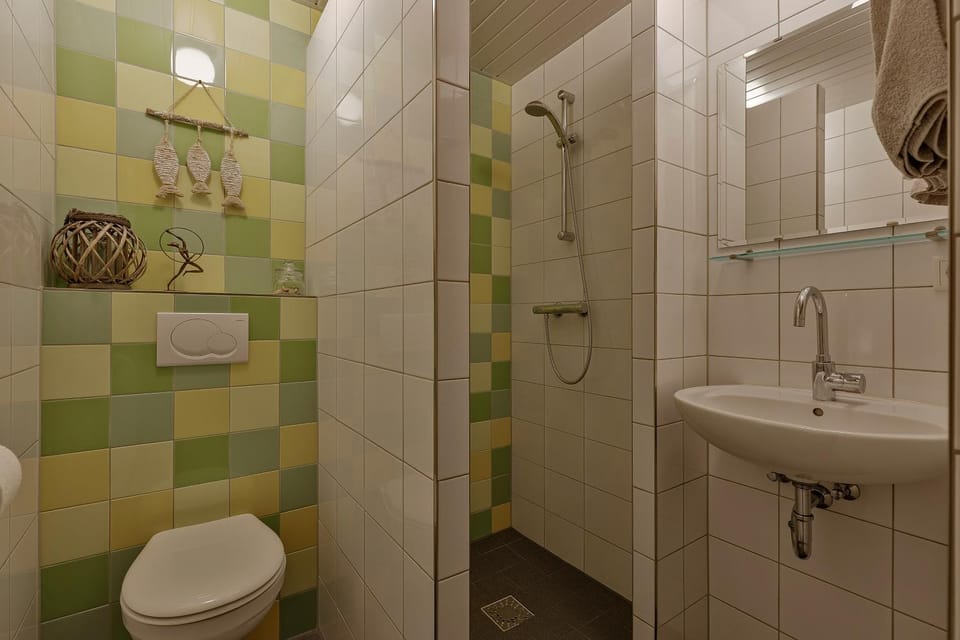 Shower, Toilet, towels