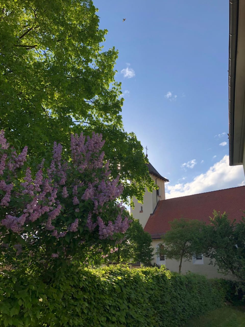 Altes Schulhaus Mutschelbach Apartment in Baden-Württemberg