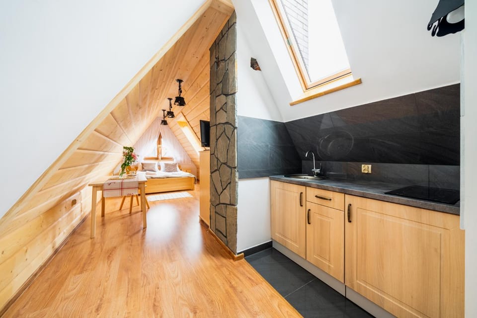 Kitchen or kitchenette, Photo of the whole room, Dining area, stove