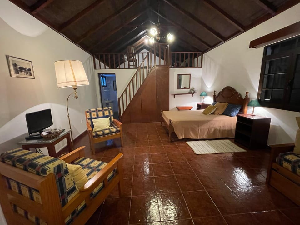 Bed, Seating area, Bedroom