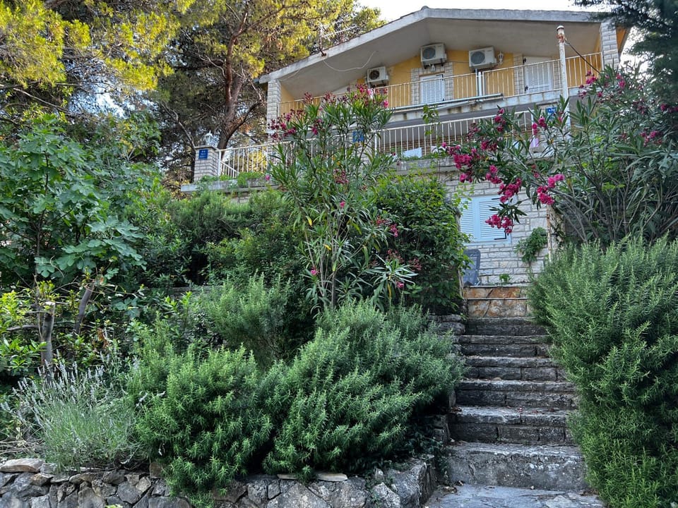 Property building, Garden, Garden view