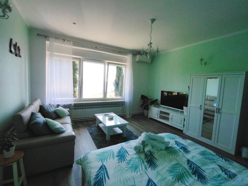 Apartment Villa Edmea 2 Apartment in Rijeka