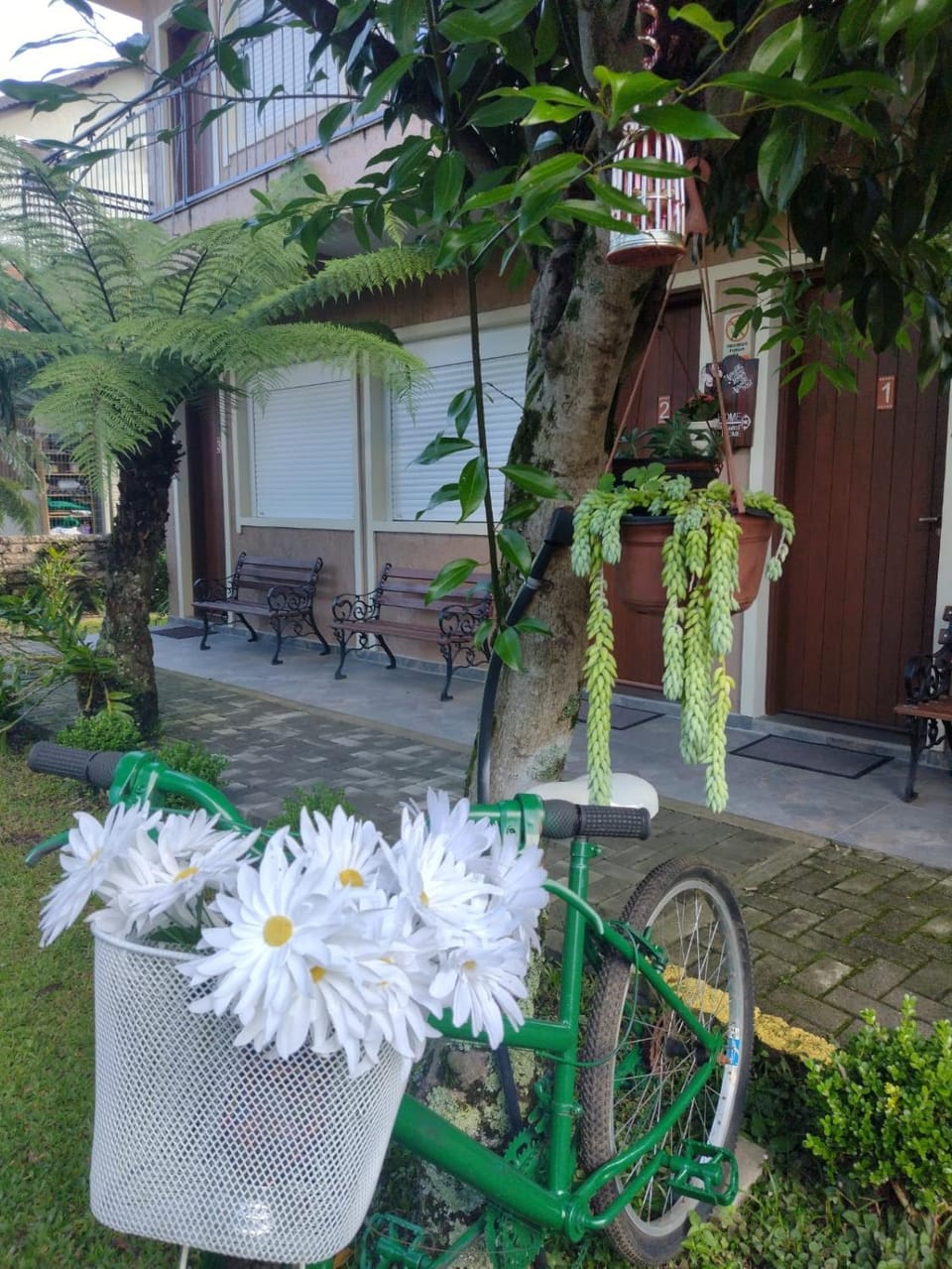 Garden view