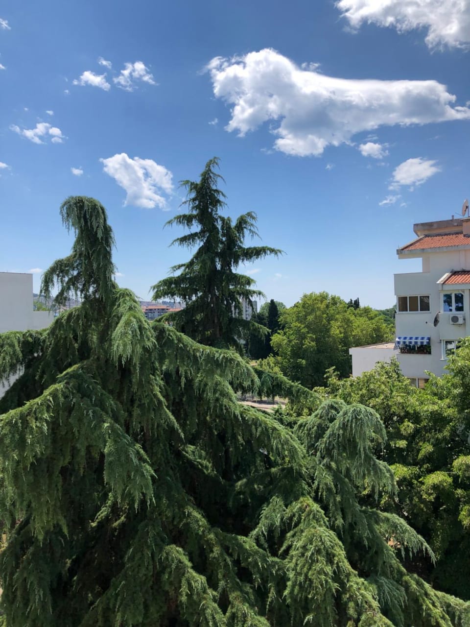 Neighbourhood