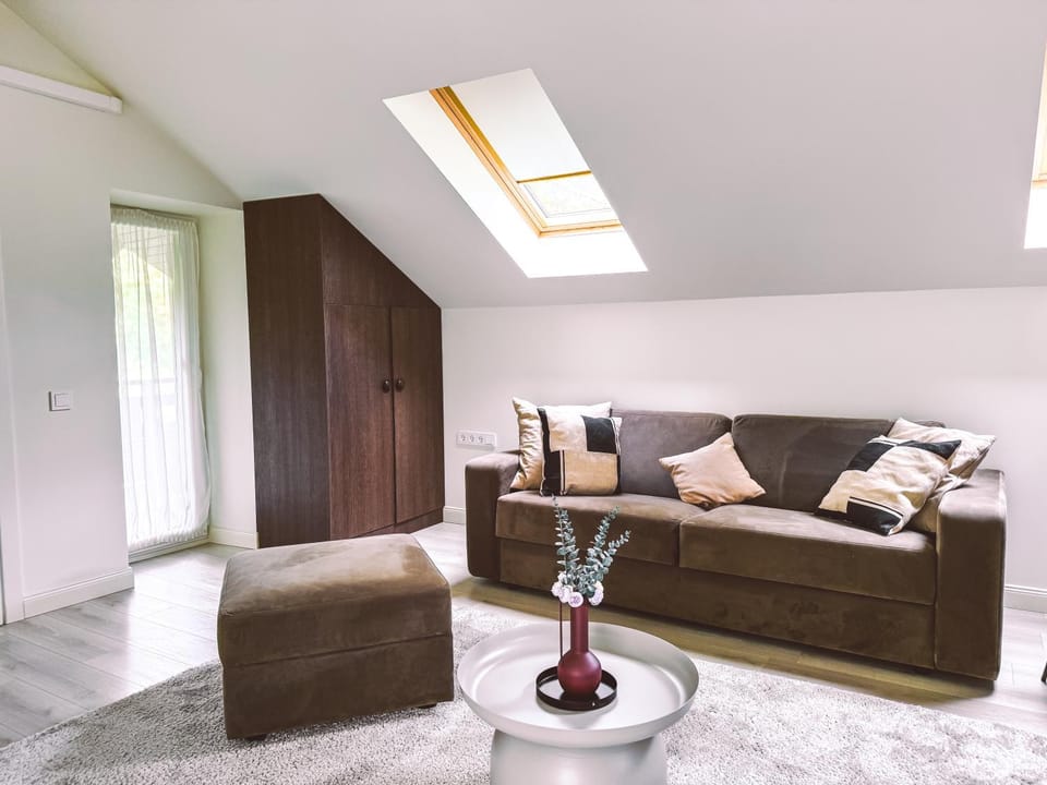 Living room, air conditioner