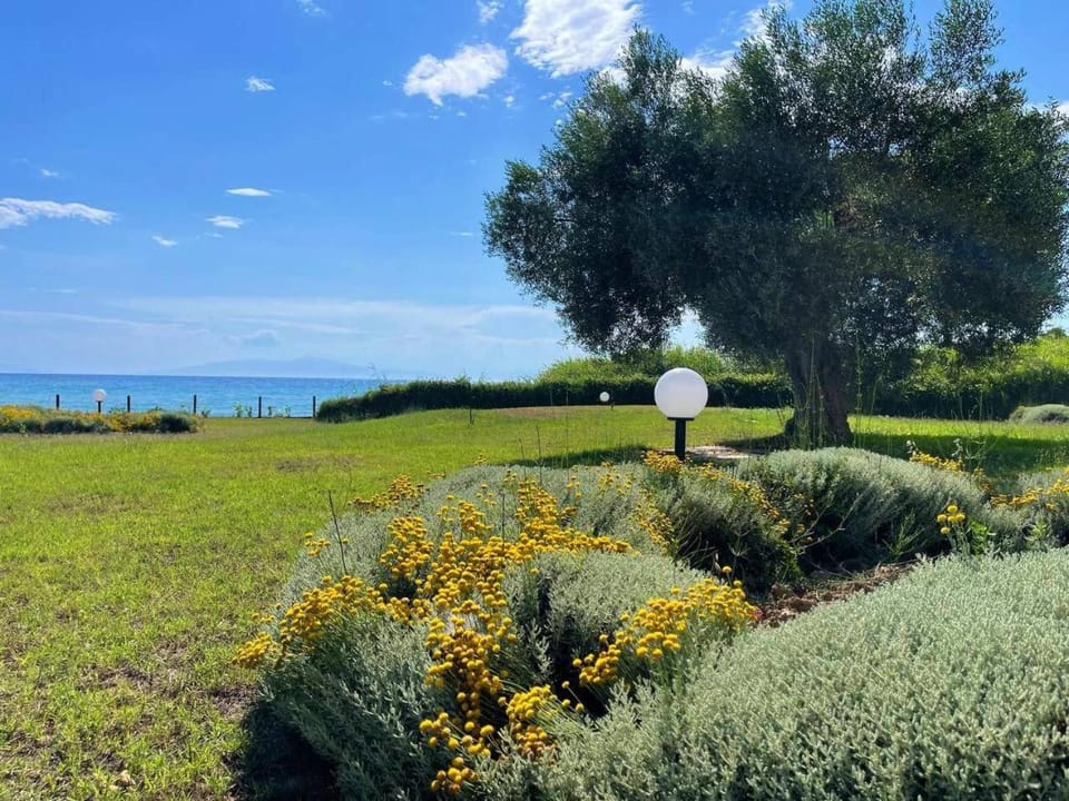 Natural landscape, Garden