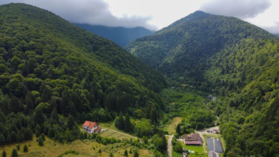 Casa Negru Vodă Breaza House in Brașov County