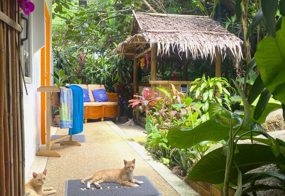 Garden view