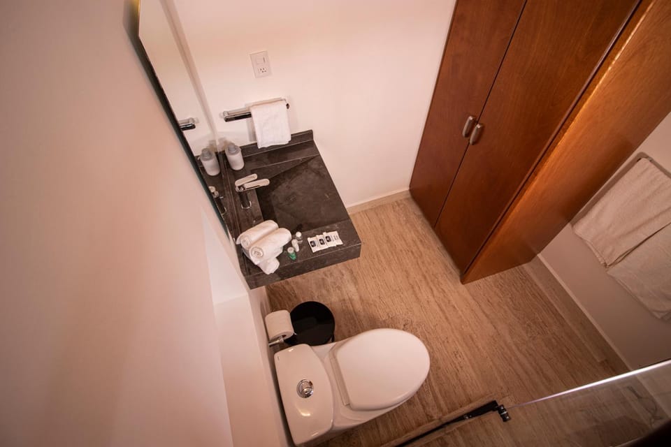 Toilet, Bathroom