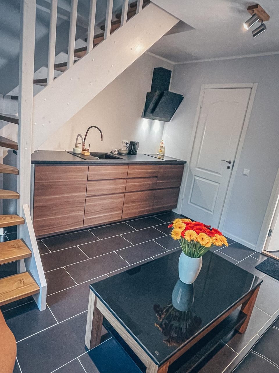 Tamula loftid Apartment in Estonia