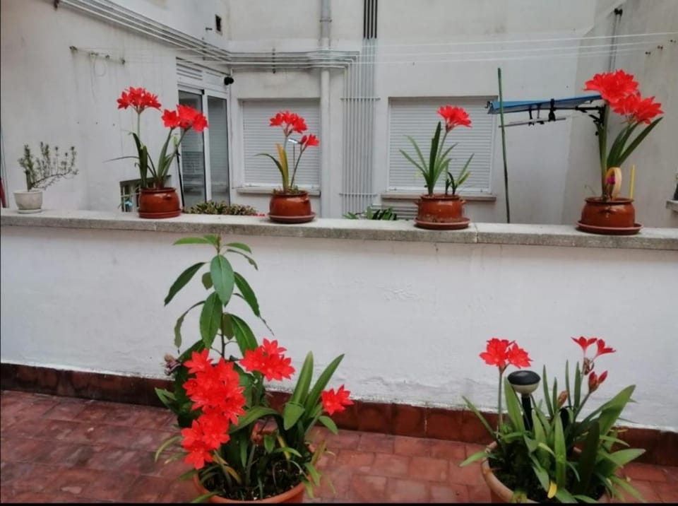 Colores Apartment in Oviedo