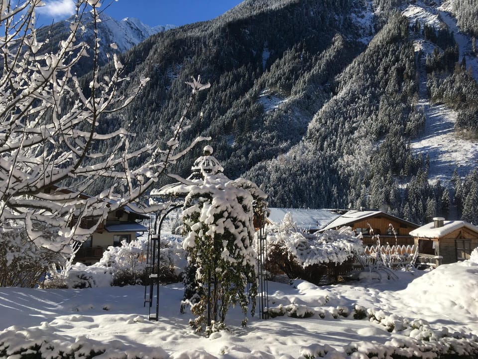 Natural landscape, Garden